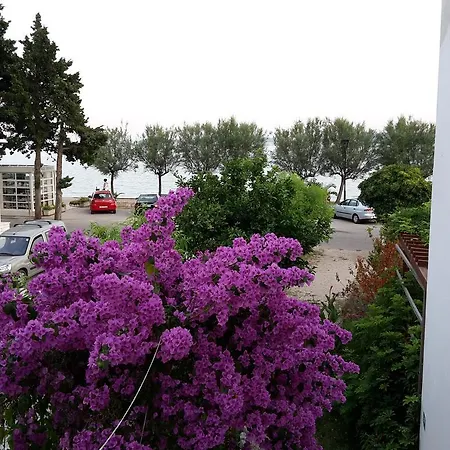 Roglic - Apartment Orebic