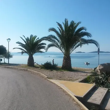 Roglic -